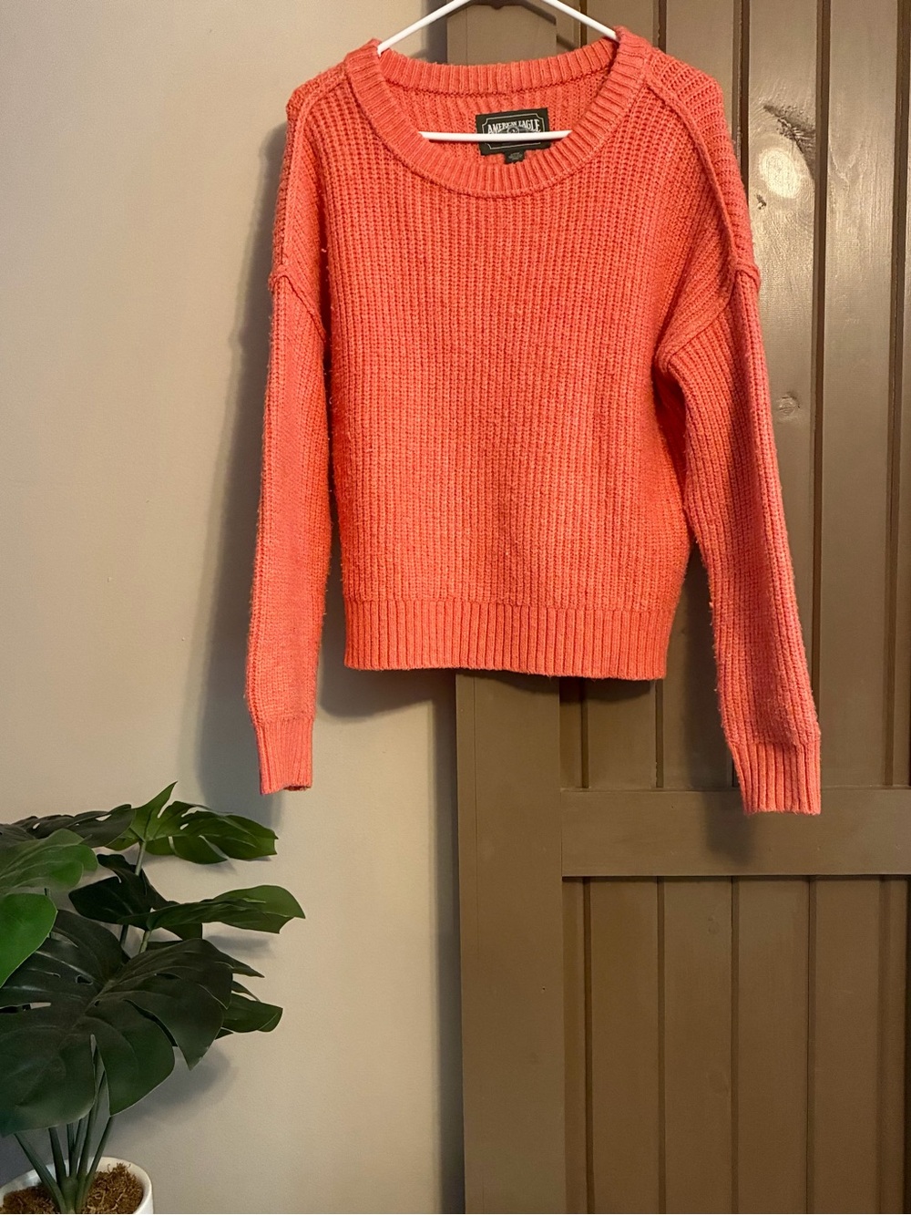 American Eagle Outfitters Coral Crewneck Sweater